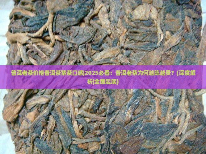 普洱老茶价格普洱茶紫茶口感