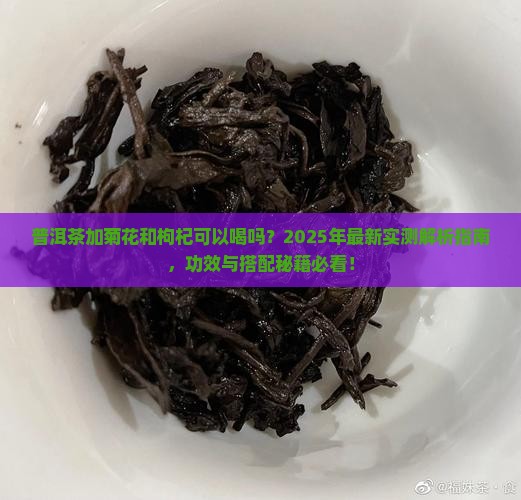 普洱茶加菊花和枸杞可以吗