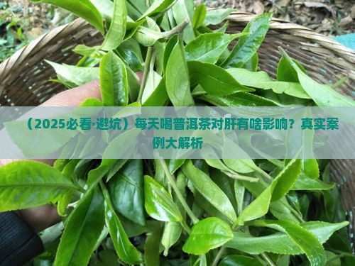 坚持喝普洱茶对肝好吗