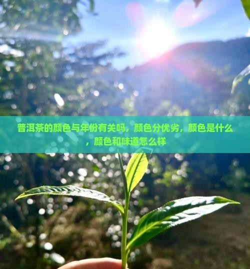 普洱茶的颜色与年份