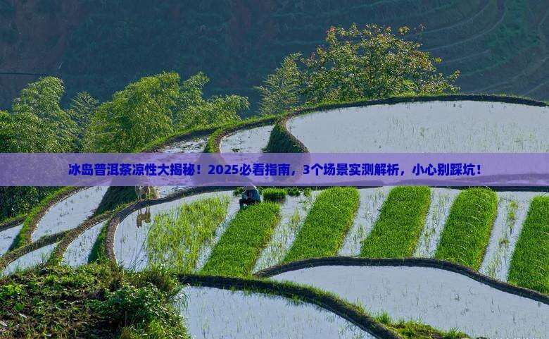 冰岛普洱茶的凉性