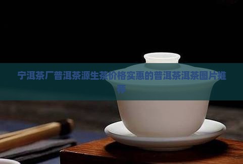 宁洱茶源茶厂普勐源生茶