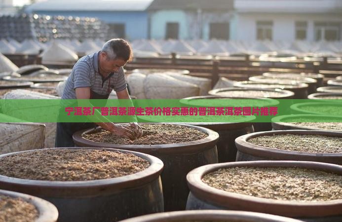 宁洱茶源茶厂普勐源生茶