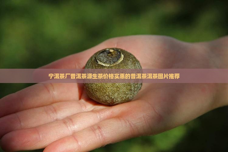 宁洱茶源茶厂普勐源生茶
