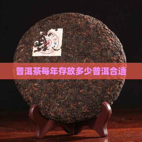 普洱茶每年买几饼存放