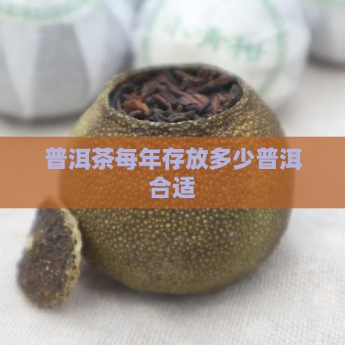 普洱茶每年买几饼存放