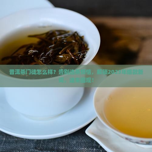 普洱茶门徒怎么样