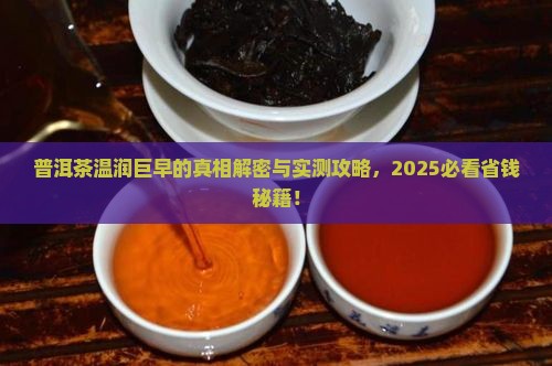 普洱茶温润巨早什么意思