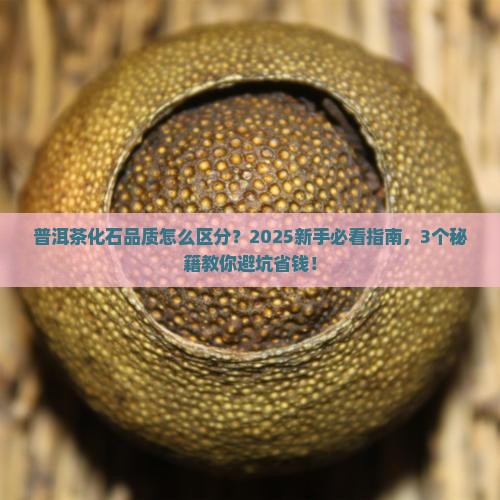普洱茶化石怎么区分品质