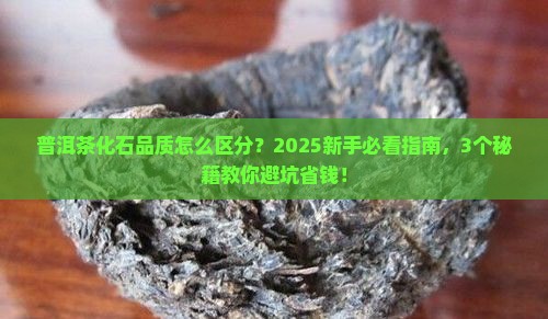 普洱茶化石怎么区分品质