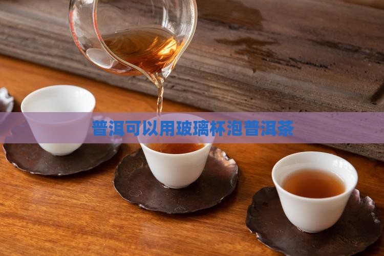 普洱茶用玻璃被泡