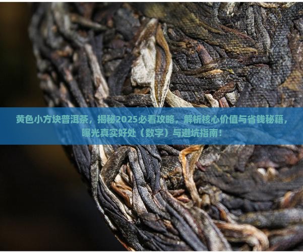 黄色小方块普洱茶