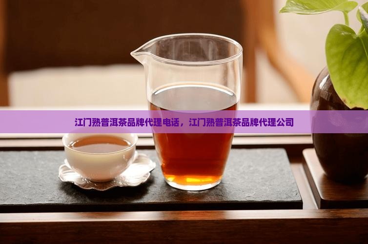 江门熟普洱茶品牌代理