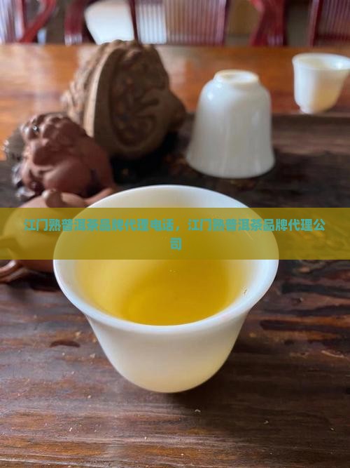 江门熟普洱茶品牌代理