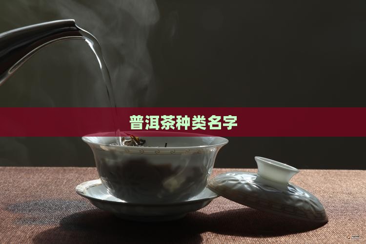 普洱茶种类名字