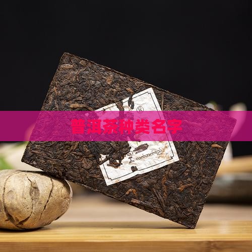 普洱茶种类名字