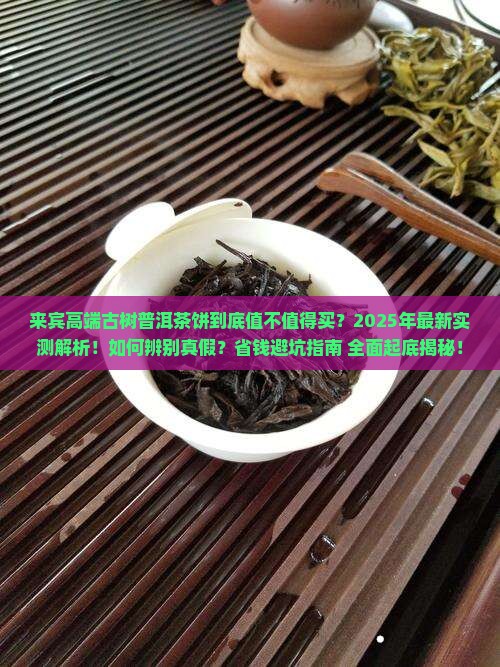 来宾高端古树普洱茶饼