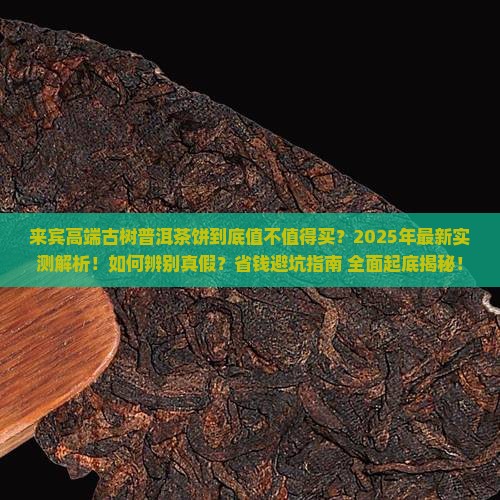 来宾高端古树普洱茶饼