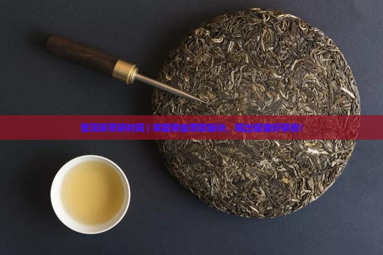 普洱茶萃茶时间