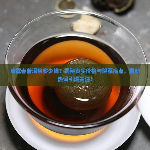 康露春普洱茶多少钱