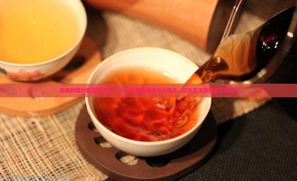 常见普洱茶有哪些