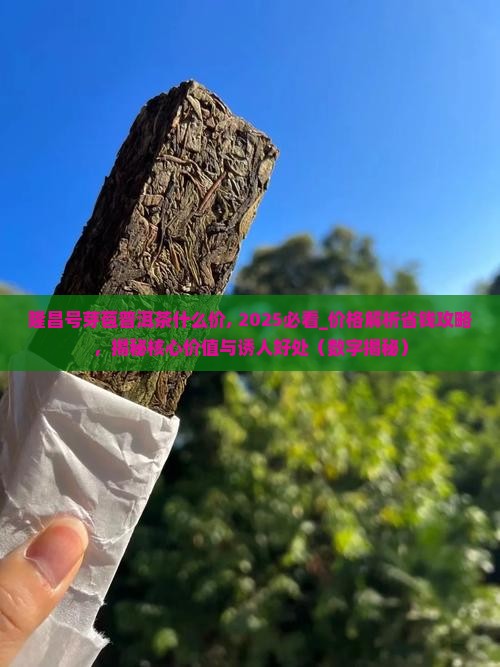 隆昌号芽苞普洱茶什么价