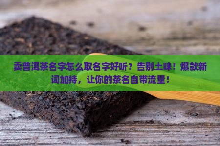 卖普洱茶名字怎么取名字好听