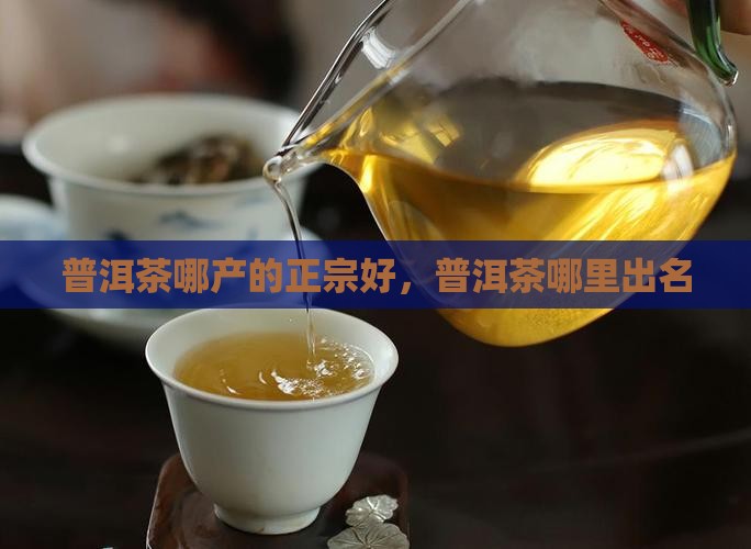 普洱茶哪产的正宗