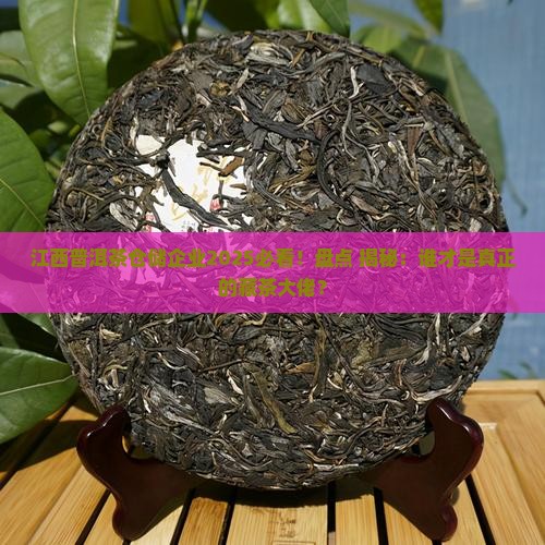江西普洱茶仓储企业排名