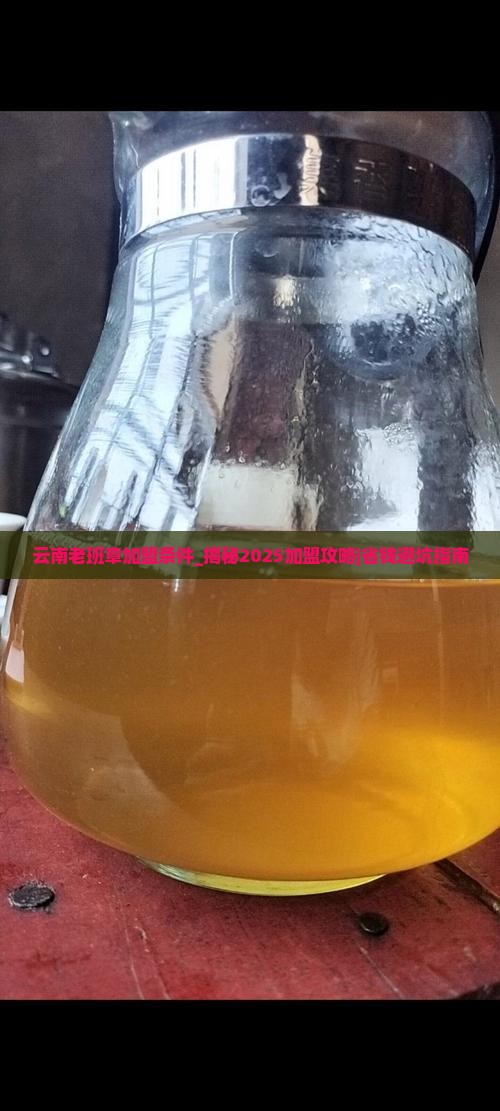 云南老班章加盟条件