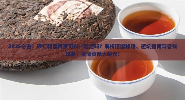 砂仁和普洱茶可以一起泡吗