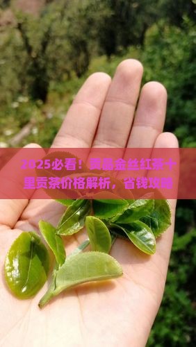 贡品金丝红茶十里贡茶价格