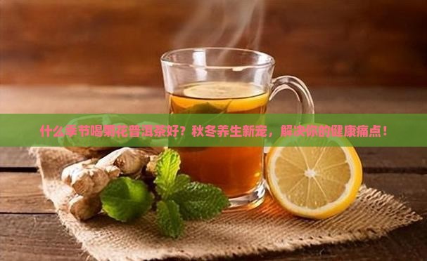 什么季节喝菊花普洱茶好