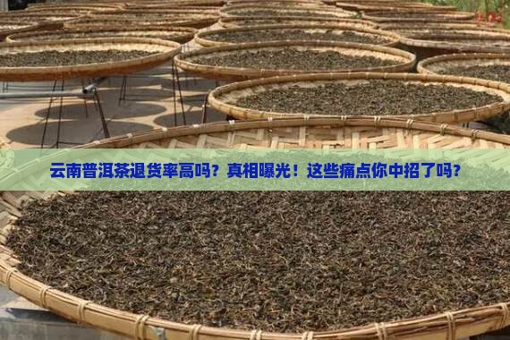 云南普洱茶退货率高吗现在