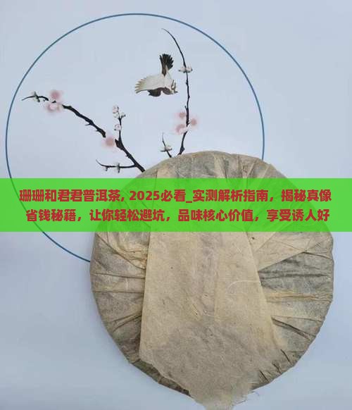 珊珊和君君普洱茶