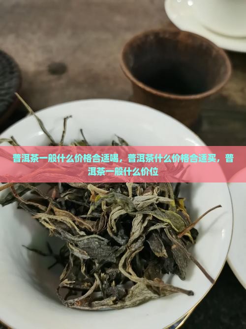 普洱茶一般什么价格合适