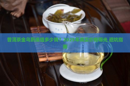 普洱茶金乌价位