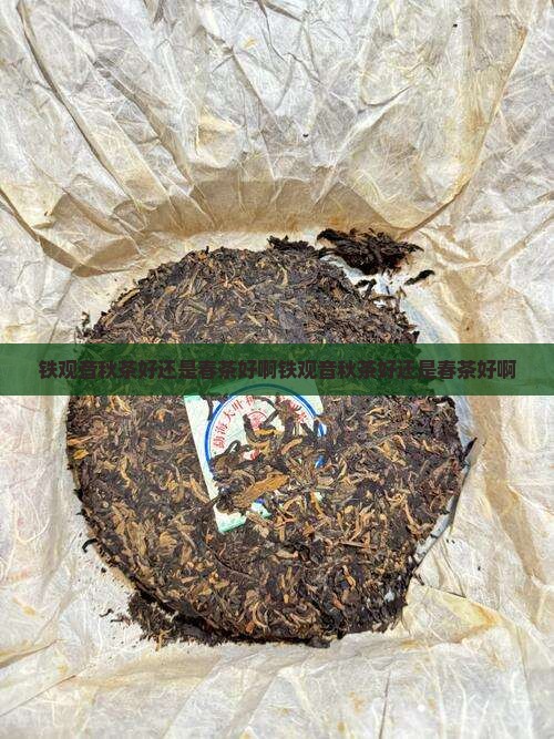 铁观音秋茶好还是春茶好啊