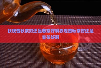 铁观音秋茶好还是春茶好啊