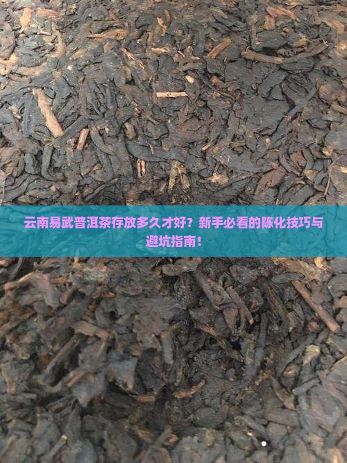 云南易武普洱茶存放