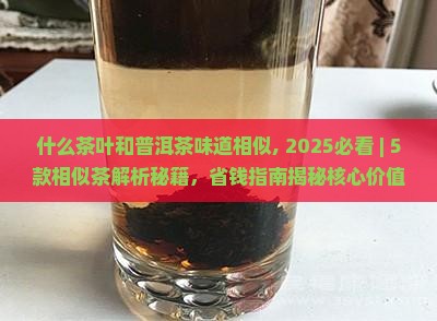 什么茶叶和普洱茶味道相似