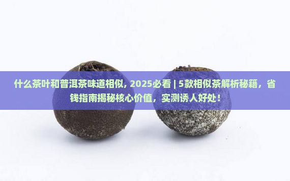 什么茶叶和普洱茶味道相似