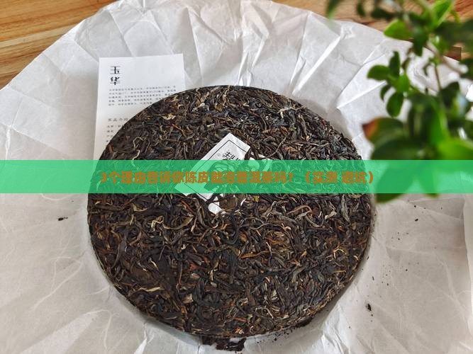 陈皮可以泡普洱茶喝吗