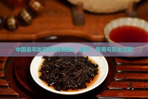 中国最早发现古茶树的地方