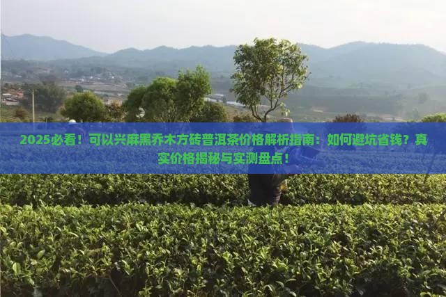 可以兴麻黑乔木方砖普洱茶价格