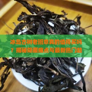 冰岛古树老班章品牌