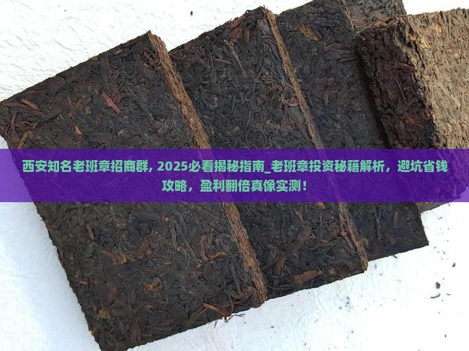 西安知名老班章招商群