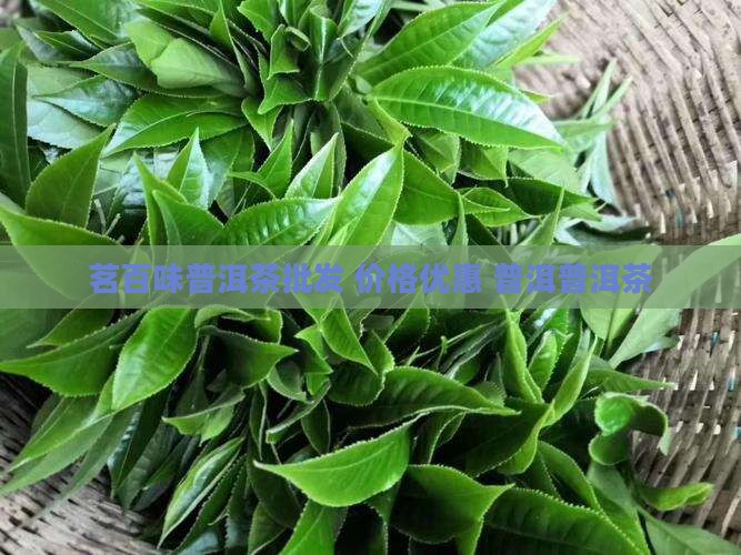 茗百味普洱茶批发