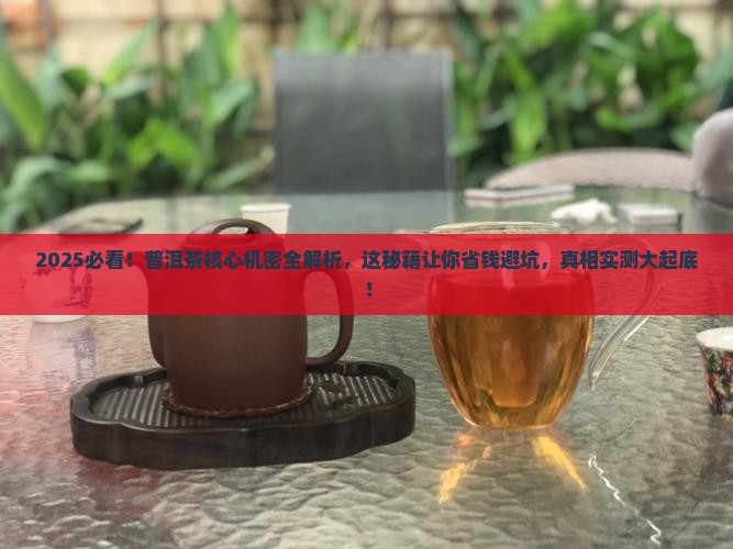 普洱茶核心机密 普洱茶核心机密