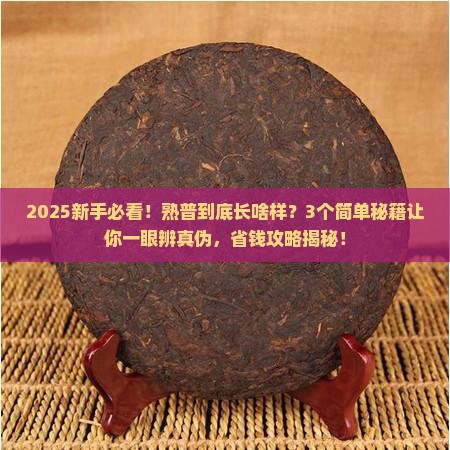 普洱茶熟普什么样子